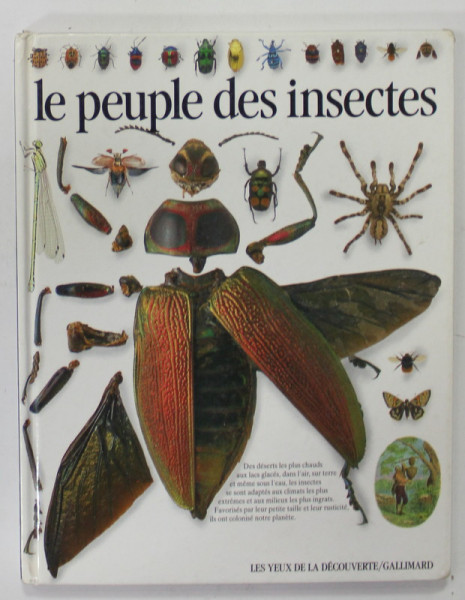 LE PEUPLE DES INSECTES par LAURENCE MOUND , 1990