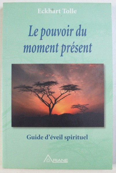 LE POUVOIR DU MOMENT PRESENT - GUIDE D ' EVEIL SPIRITUEL par ECKHART TOLLE , 2000