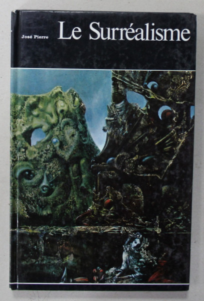 LE SURREALISME par JOSE PIERRE , HISTOIRE GENERALE DE LA PEINTURE , VOLUMUL 21 , 1966