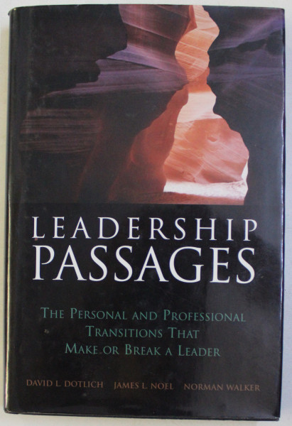 LEADERSHIP PASSAGES - THE PERSONAL AND PROFESSIONAL TRANSITIONS THAT MAKE OR BREAK A LEADER by DAVID L. DOTLICH , JAMES L. NOEL , NORMAN WALKER , 2004