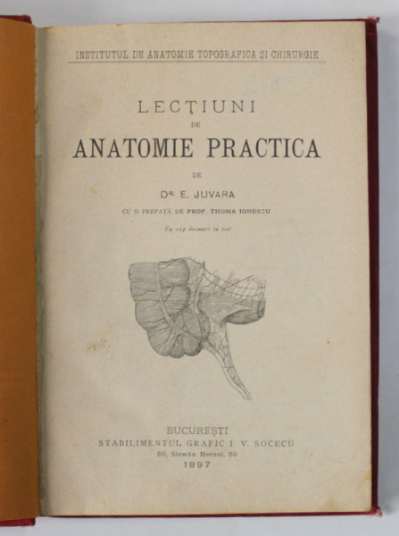 LECTIUNI DE ANATOMIE PRACTICA de DR. E . JUVARA , cu 103 desenuri in text , 1897 , DEDICATIE*