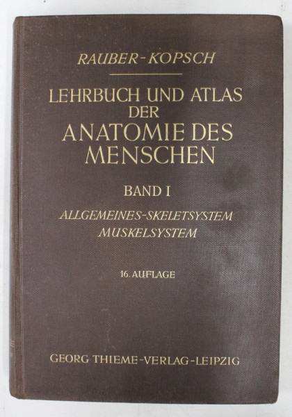 LEHRBUCH UND ATLAS DER ANATOMIE DES MENSCHEN - BAND I- ALLGEMEINES - SKELETSYSTEM  = MUSKELSYSTEM von RAUBER - KOPSCH , 1940