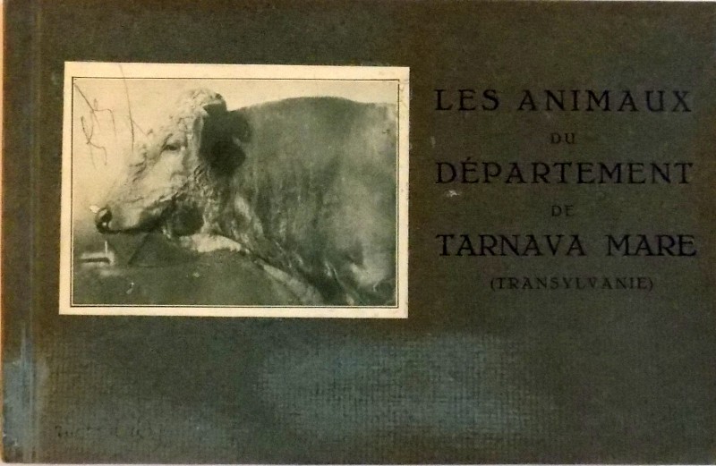 LES ANIMAUX OU DEPARTEMENT DE TARNAVA MARE , TRANSYLVANIE