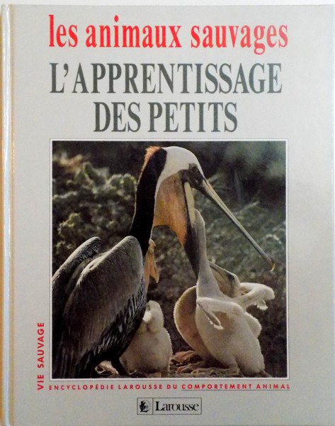 LES ANIMAUX SAUVAGES, L`APPRENTISSAGE DES PETITS de LAURE FLAVIGNY, CATHERINE NICOLLE, 1993