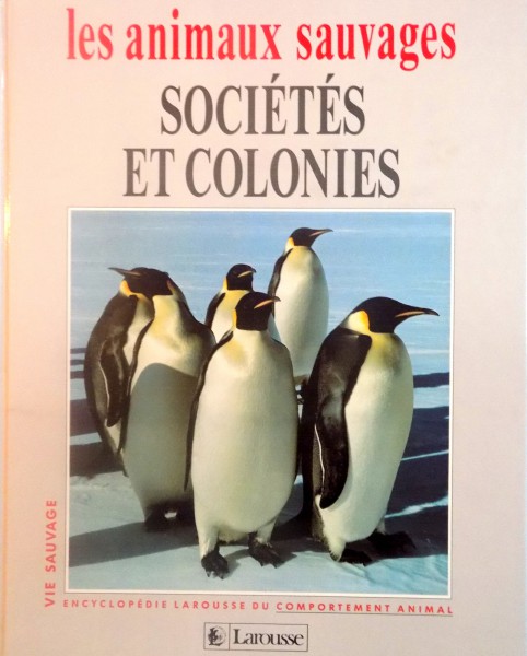 LES ANIMAUX SAUVAGES, SOCIETES ET COLONIES de LAURE FLAVIGNY, CATHERINE NICOLLE, 1993