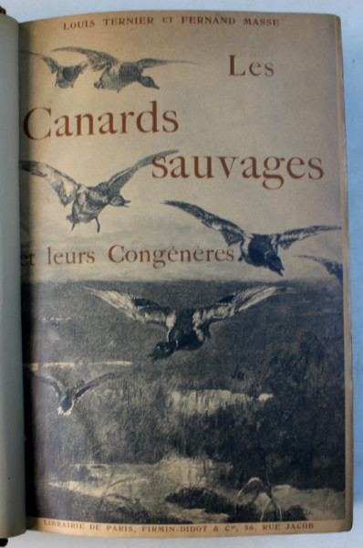 LES CANARDS SAUVAGES ET LEUR CONGENERES par LOUIS TERNIER et FERNAND MASSE , EDITIE DE INCEPUT DE SECOL XX