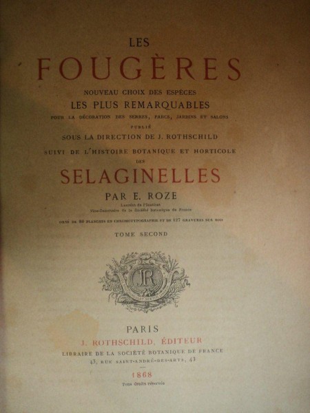 Les fougères, choix des espèces les plus remarquables pour la décoration des serres, parcs, jardins et salons, suivi de leur histoire botanique & horticole des selaginelles par E. Roze, Tome second  1868