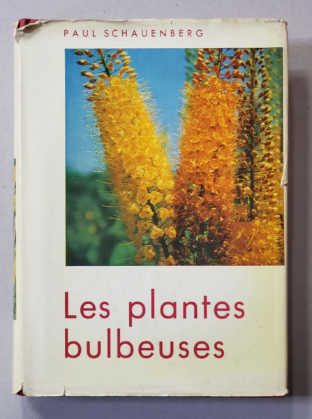 LES PLANTES BULBEUSES par PAUL SCHAUENBERG , 1964