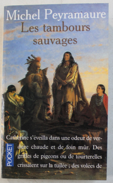 LES TAMBOURS SAUVAGES par MICHEL PEYRAMAURE , 1993