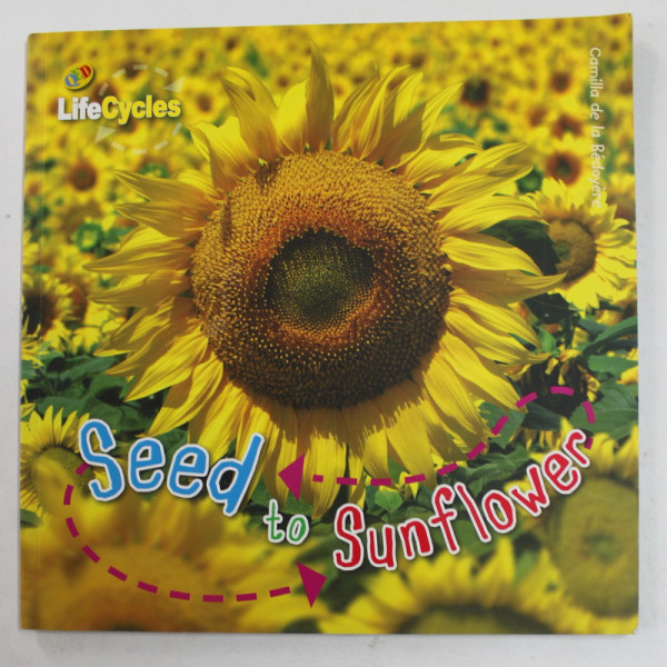 LIFECYCLES - SEED TO SUNFLOWER  by CAMILLA DE LA BEDOYERE , 2009