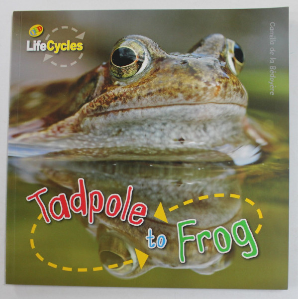 LIFECYCLES - TADPOLE TO FROG by CAMILLA DE LA BEDOYERE , 2009