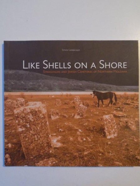 LIKE SHELLS ON A SHORE de SIMON GEISSBUHLER 2010