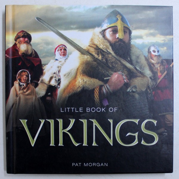LITTLE BOOK OF VIKINGS by PAT MORGAN , 2014