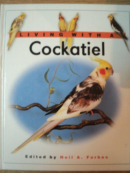 LIVING WITH A COCKATIEL by NEIL A. FORBES