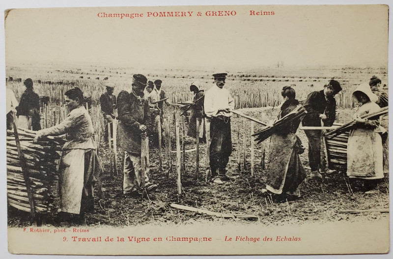 LUCRARI IN VIE LA CHAMPAGNE , MONTAREA ARACILOR , CARTE POSTALA ILUSTRATA , INCEPUTUL SEC. XX