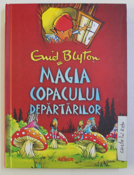MAGIA COPACULUI  DEPARTARILOR , SERIA ' COPACUL DEPARTARILOR de ENID BLYTON , ilustratii de JAN McCAFFERTY , 2015