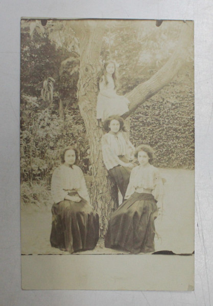 MAMA CU TREI FETE , POZAND LANGA UN COPAC , FOTOGRAFIE TIP CARTE POSTALA , MONOCROMA, NECIRCULATA , PERIOADA INTERBELICA