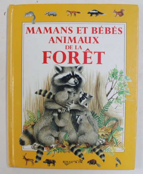 MAMANS ET BEBES ANIMAUX DE LA FORET , texte de ROBERTO PIUMINI , illustrations de LORELLA RIZZATTI , 1990
