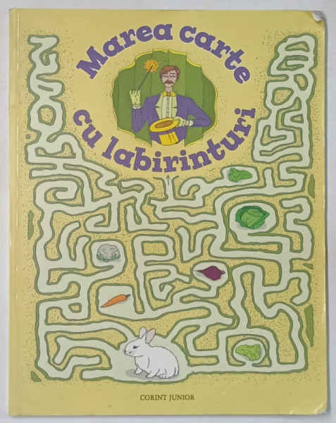 MAREA CARTE CU LABIRINTURI de DANIEL EBRHAT , ILUSTRATII de SHUTTERSTOCK , 2015 *PREZINTA URME DE UZURA
