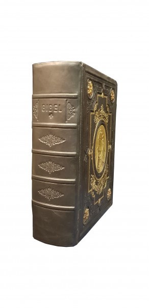 MARTIN LUTHER , BIBLIA ILUSTRATA, CIRCA 1880