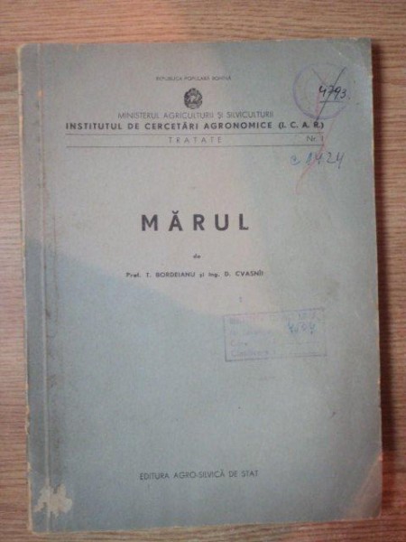 MARUL de T. BORDEIANU , D. CVASNII , 1954