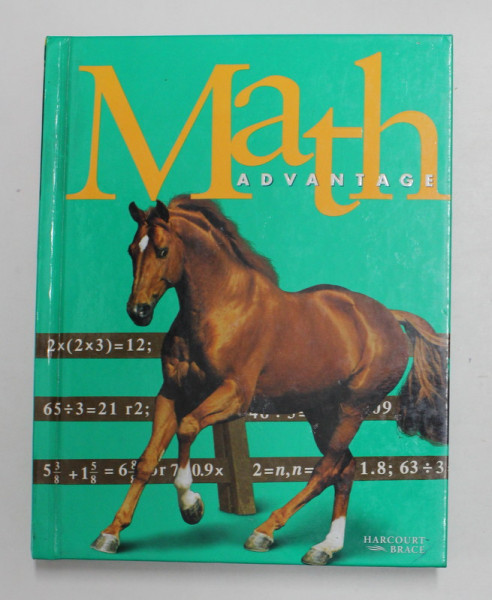 MATH  ADVANTAGE by GRACE M. BURTON and EVAN M. MALETSKY , 1999