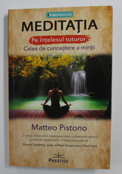 MEDITATIA PE INTELESUL TUTUROR , CALEA DE CUNOASTERE A MINTII de MATTEO PISTONO , 2020 * MICI DEFECTE COPERTA