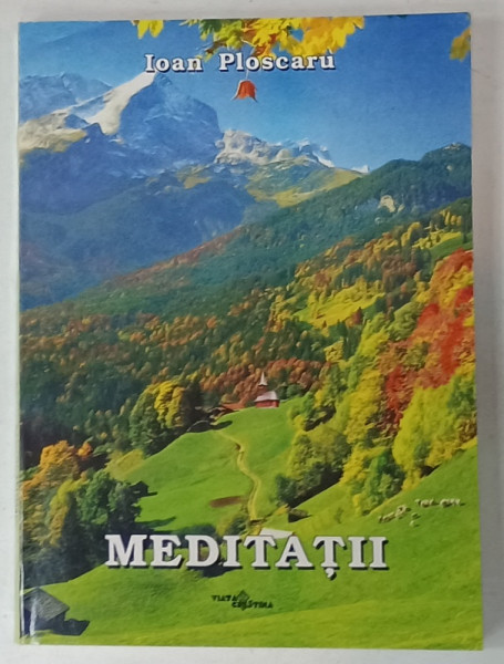MEDITATII de IOAN PLOSCARU , 2003
