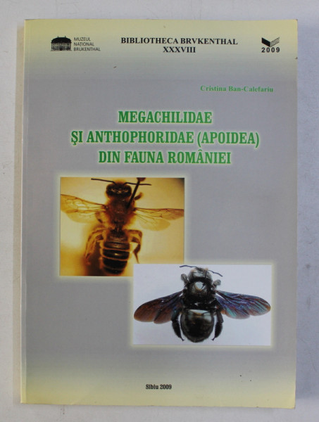 MEGACHILIDAE SI ANTHOPHORIADE ( APOIDEA ) DIN FAUNA ROMANIEI de CRISTINA BAN - CALEFARIU , 2009