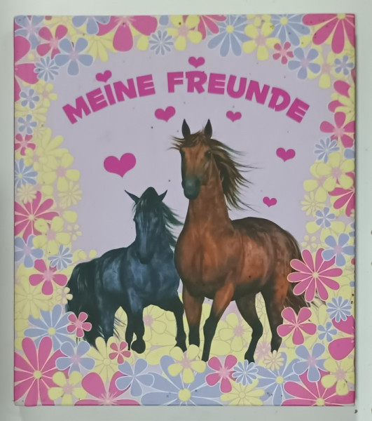 MEINE FREUNDE  (PRIETENII MEI )  , CAIET IN LIMBA GERMANA , ANII '2000