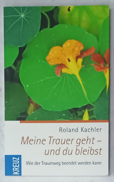 MEINE TRAUER GEHT - UND DU BLEIBST ( TRISTETEA MEA PLEACA SI TU RAMAI )  , TEXT IN LIMBA GERMANA , von ROLAND KACHLER , 2010