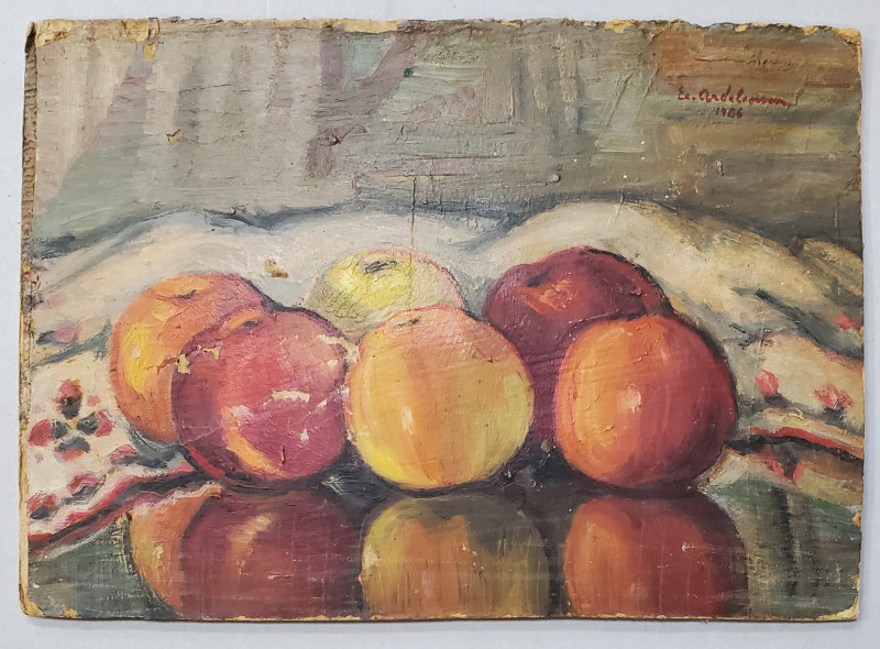 MERE, SEMNAT E.C. ARDELEANU, 1986