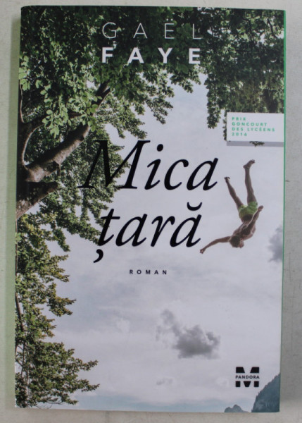 MICA TARA de GAEL FAYE , TRADUCERE DE LUCIA VISINESCU , 2017