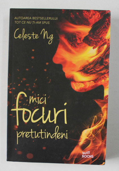 MICI FOCURI PRETUTINDENI de CELESTE NG, 2017