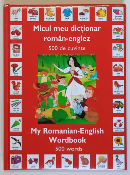 MICUL MEU DICTIONAR ROMAN - ENGLEZ , 500 DE CUVINTE , ILUSTRATII de VAN GOOL , 2007