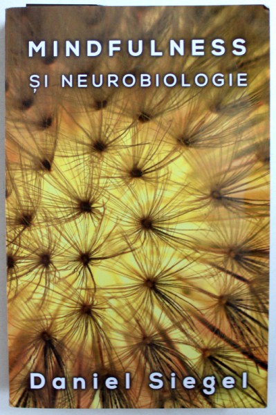 MINDFULNESS SI NEUROBIOLOGIE de DANIEL SIEGEL , 2016 , PREZINTA SUBLINIERI CU PIXUL