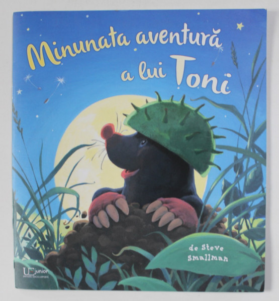 MINUNATA AVENTURA A LUI TONI de STEVE SMALLMAN , 2021 *MICI DEFECTE