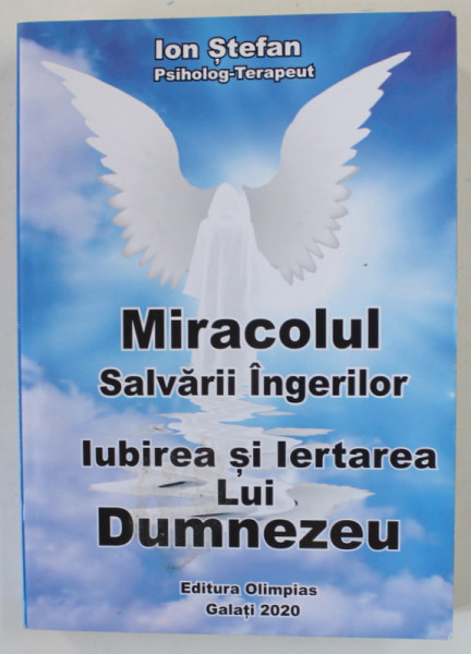 MIRACOLUL SALVARII INGERILOR , IUBIREA SI IERTAREA LUI DUMNEZEU de ION STEFAN , 2020