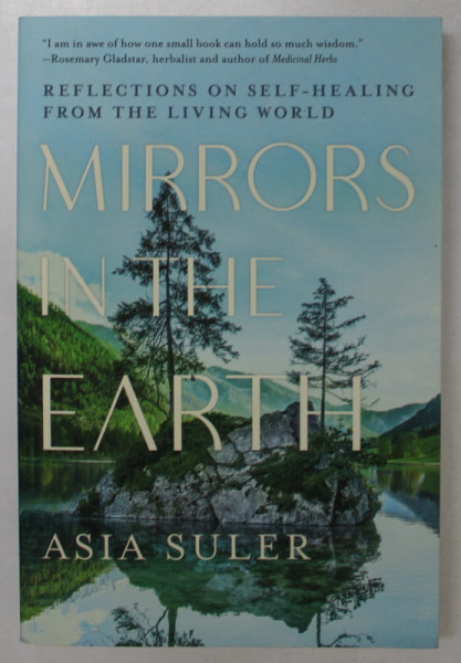 MIRRORS IN THE EARTH by ASIA SULER , 2022