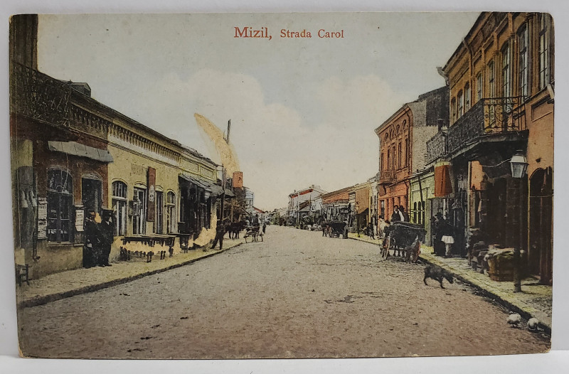 MIZIL , STRADA CAROL , CARTE POSTALA , INCEPUTUL SEC. XX