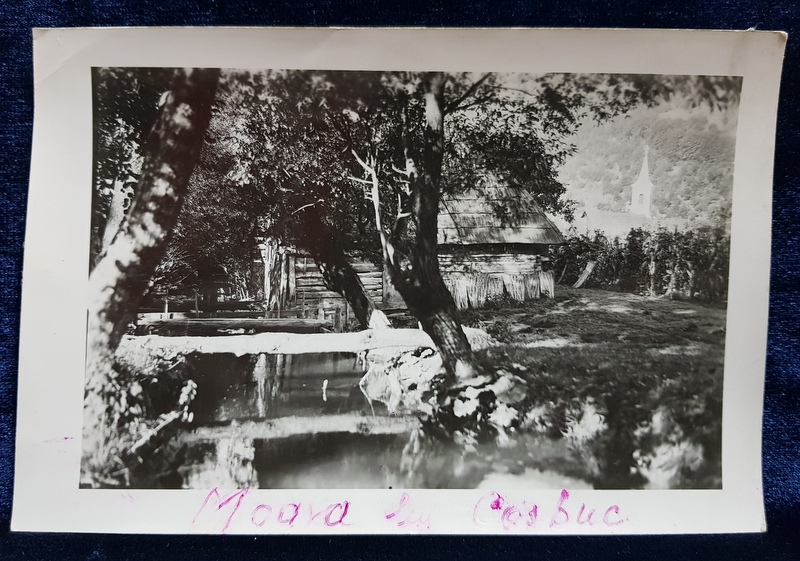 MOARA LUI GEORGE COSBUC , FOTOGRAFIE  MONOCROMA, PE HARTIE LUCIOASA , PERIOADA INTERBELICA