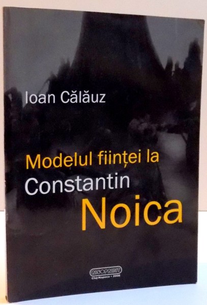 MODELUL FIINTEI LA CONSTANTIN NOICA , 2008