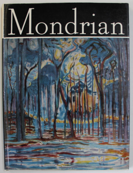 MONDRIAN , ALBUM DE ARTA de VICTOR IERONIM STOICHITA , 1979, TEXT IN LB. ROMANA