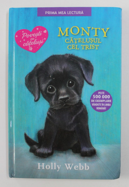 MONTY , CATELUSUL CEL TRIST de HOLLY WEBB , 2018