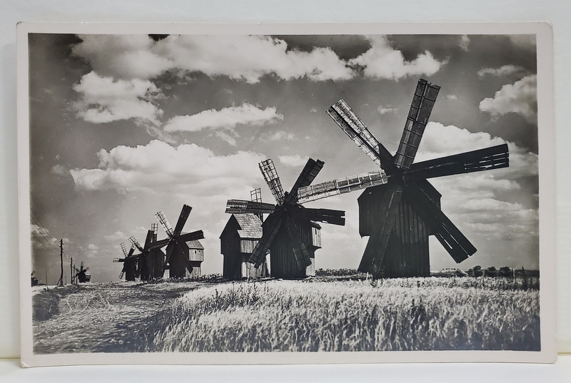 MORI DE VANT IN BASARABIA , FOTOGRAFIE TIP CARTE POSTALA , DUPA K. HILSCHER , INTERBELICA