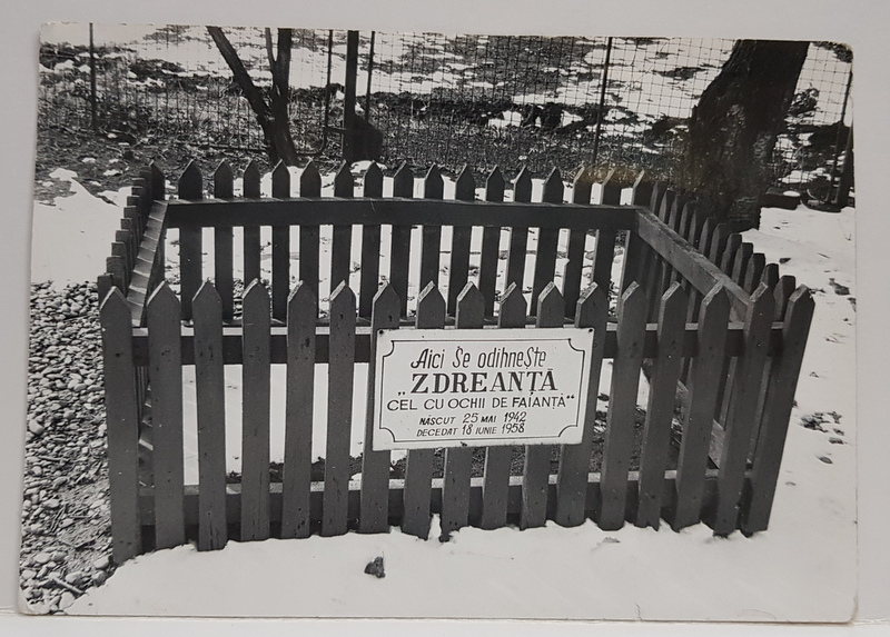 MORMANTUL LUI ZDREANTA DE LA MARTISOR  , CATELUL POETULUI TUDOR ARGHEZI , FOTOGRAFIE MONOCROMA, PE HARTIE LUCIOASA