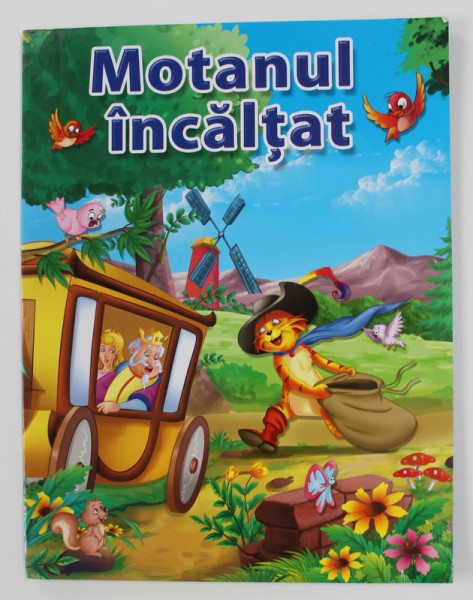 MOTANUL INCALTAT , ANII '2000