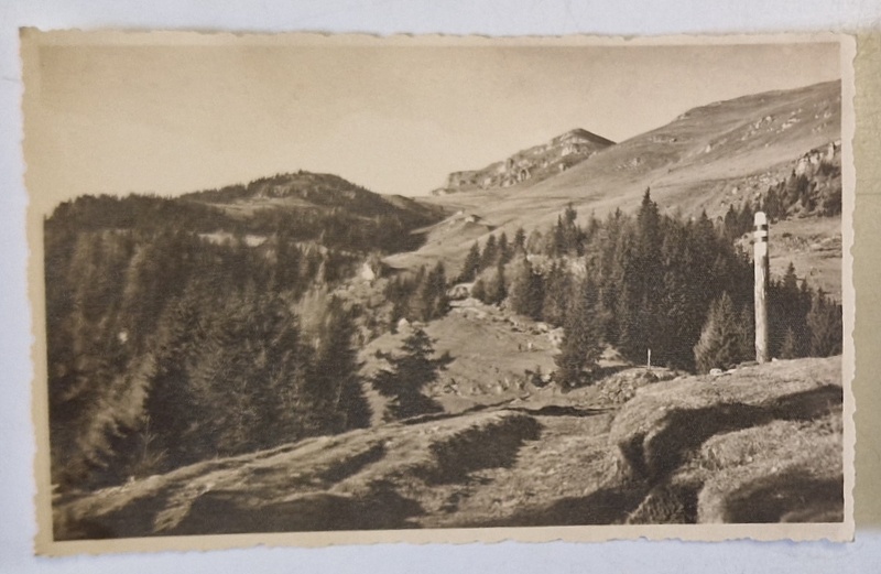 MUNTII BUCEGI , POTECA SPRE VARFUL CU DOR , FOTO. ORIG. J. FISCHER , SIBIU , TIP CARTE POSTALA , 1940