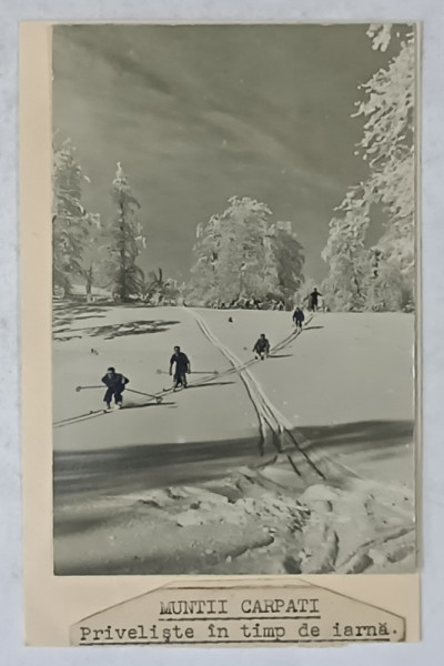 MUNTII CARPATI , SCHIORI , FOTOGRAFIE , PERIOADA INTERBELICA