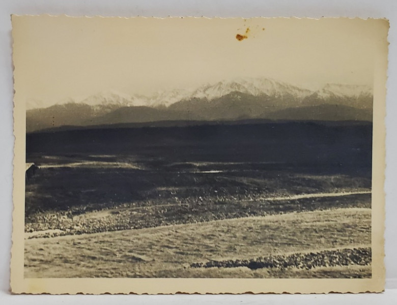 MUNTII FAGARAS , FOTO. WEISS , INTERBELICA